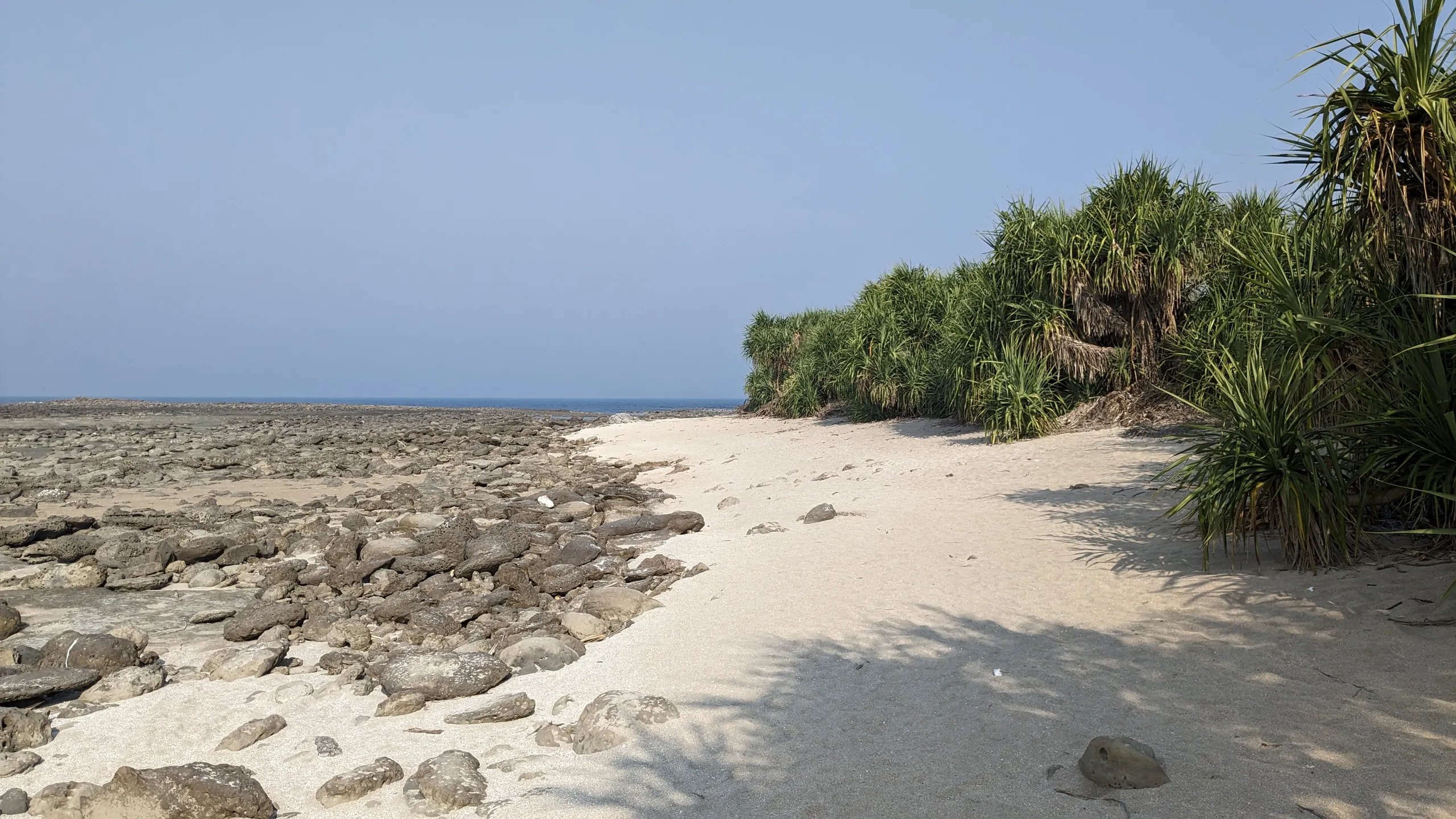 Coral rocks and screw pines on the shore of Chhera Dwip