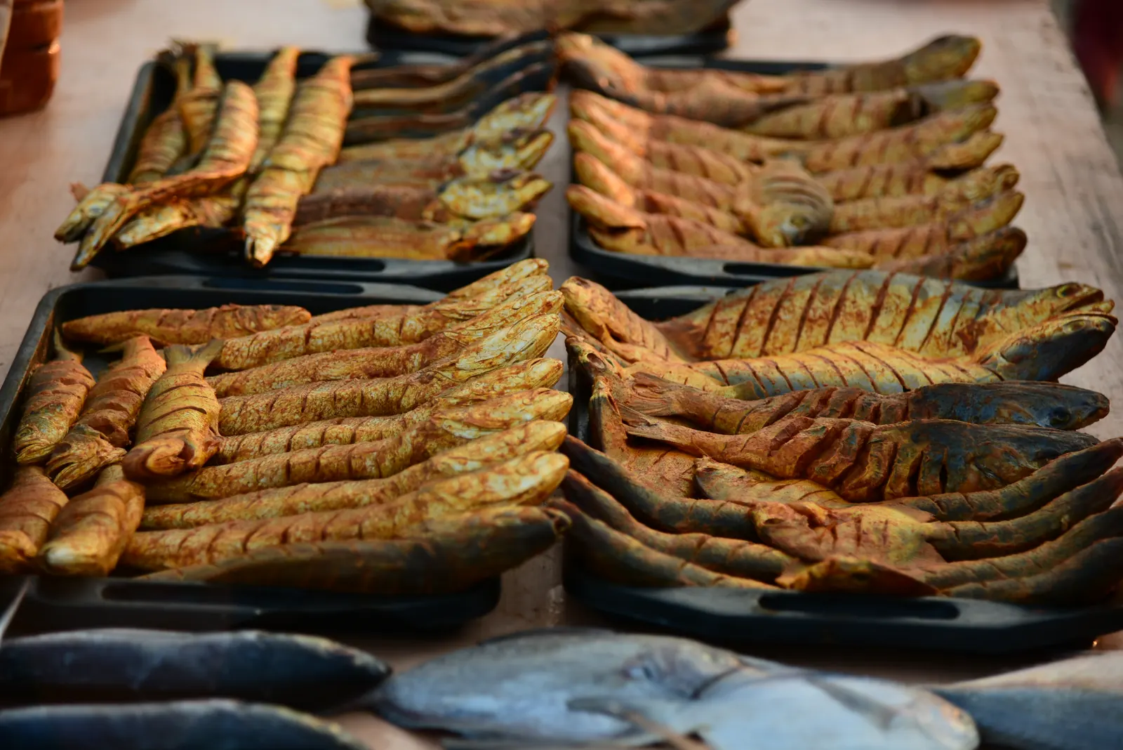 Fresh fish from the Bay of Bengal, laid out ready for cooking